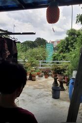 Joon Hiang Road (D19), Semi-Detached #558599551